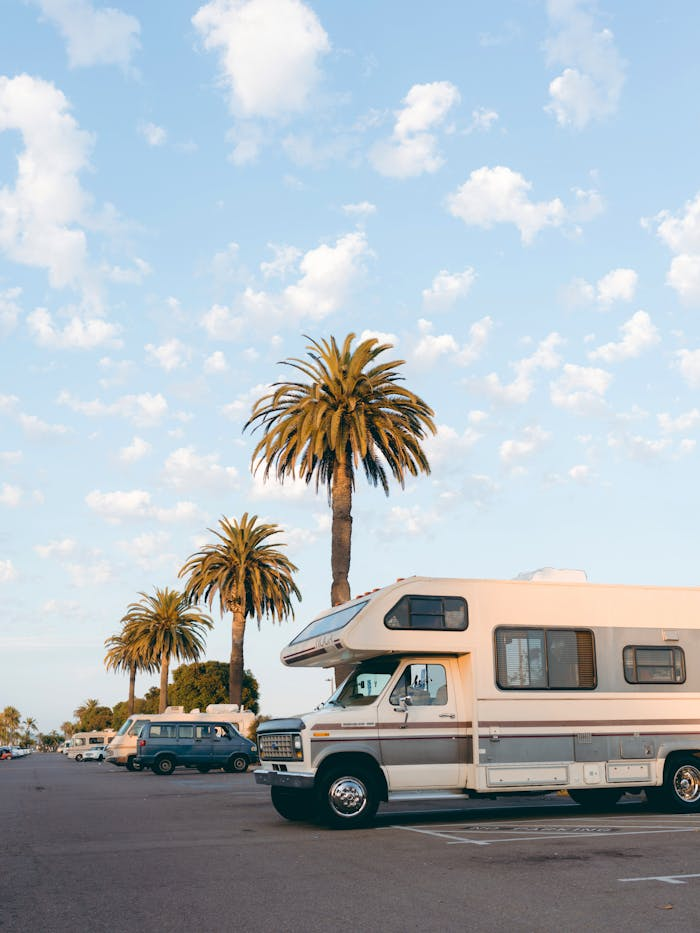 creative-01 RVs parked under palm trees in a bright daylight urban parking lot setting.